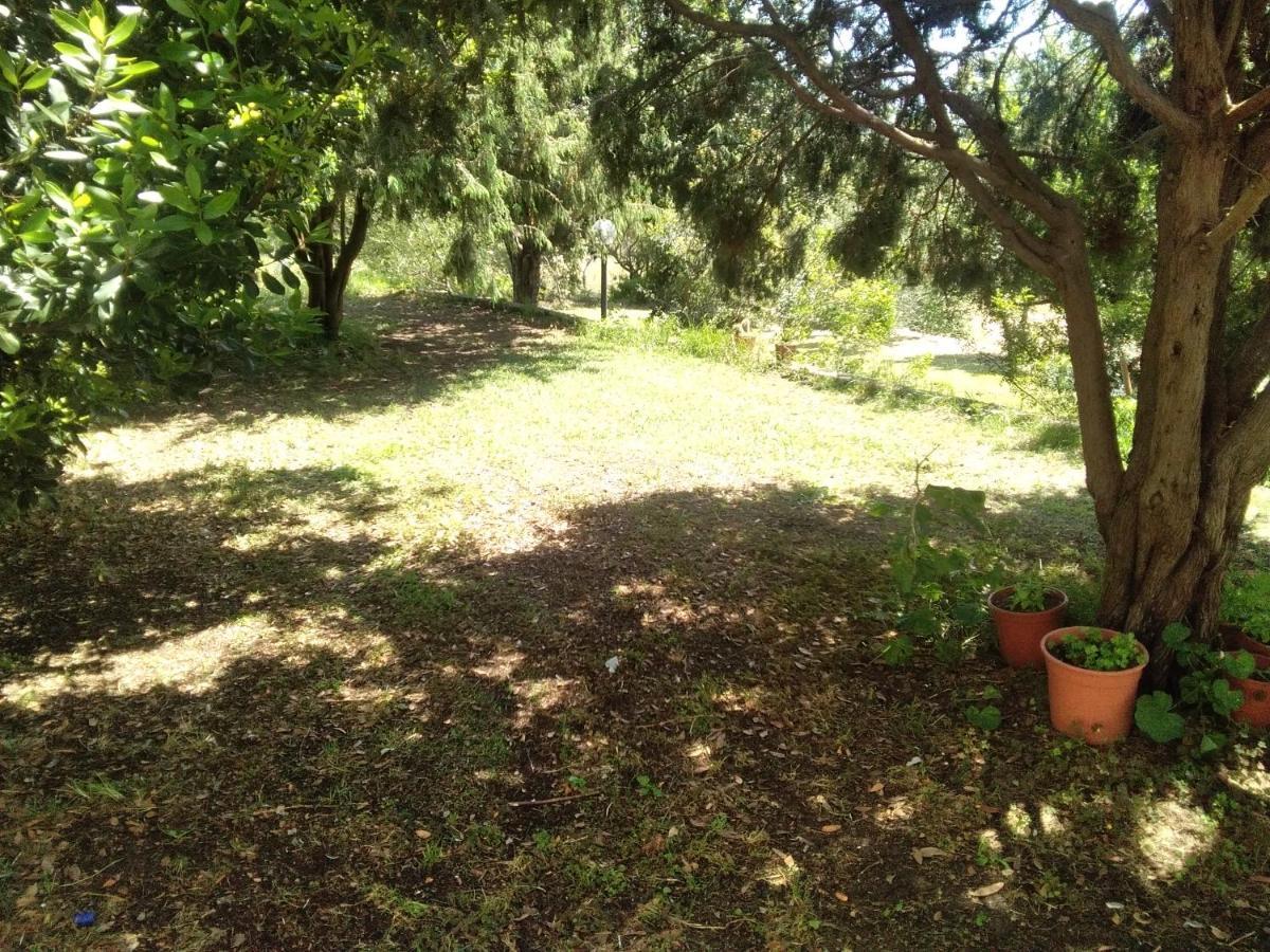 אולביה B&B Daillu מראה חיצוני תמונה