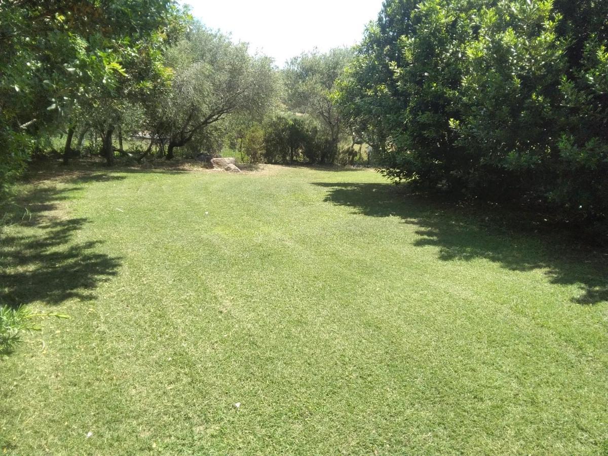 אולביה B&B Daillu מראה חיצוני תמונה