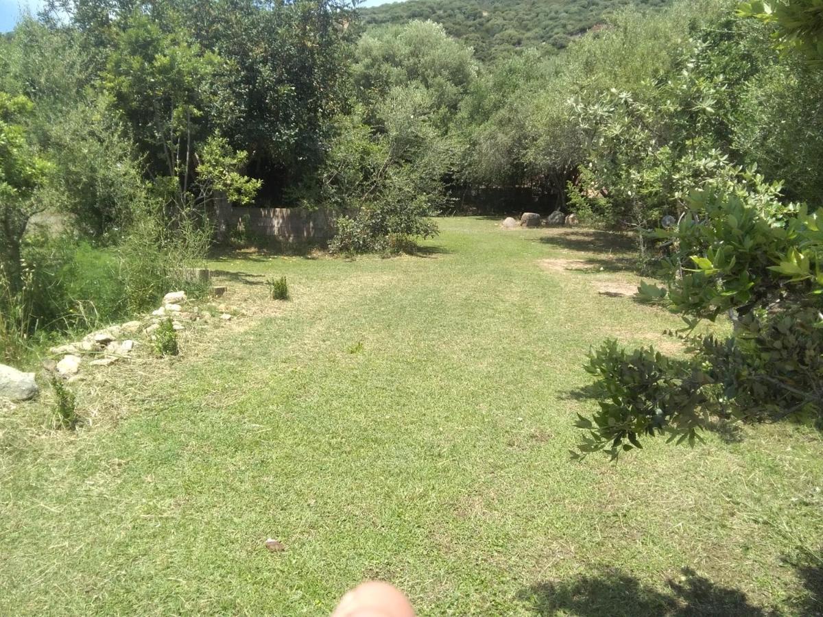 אולביה B&B Daillu מראה חיצוני תמונה