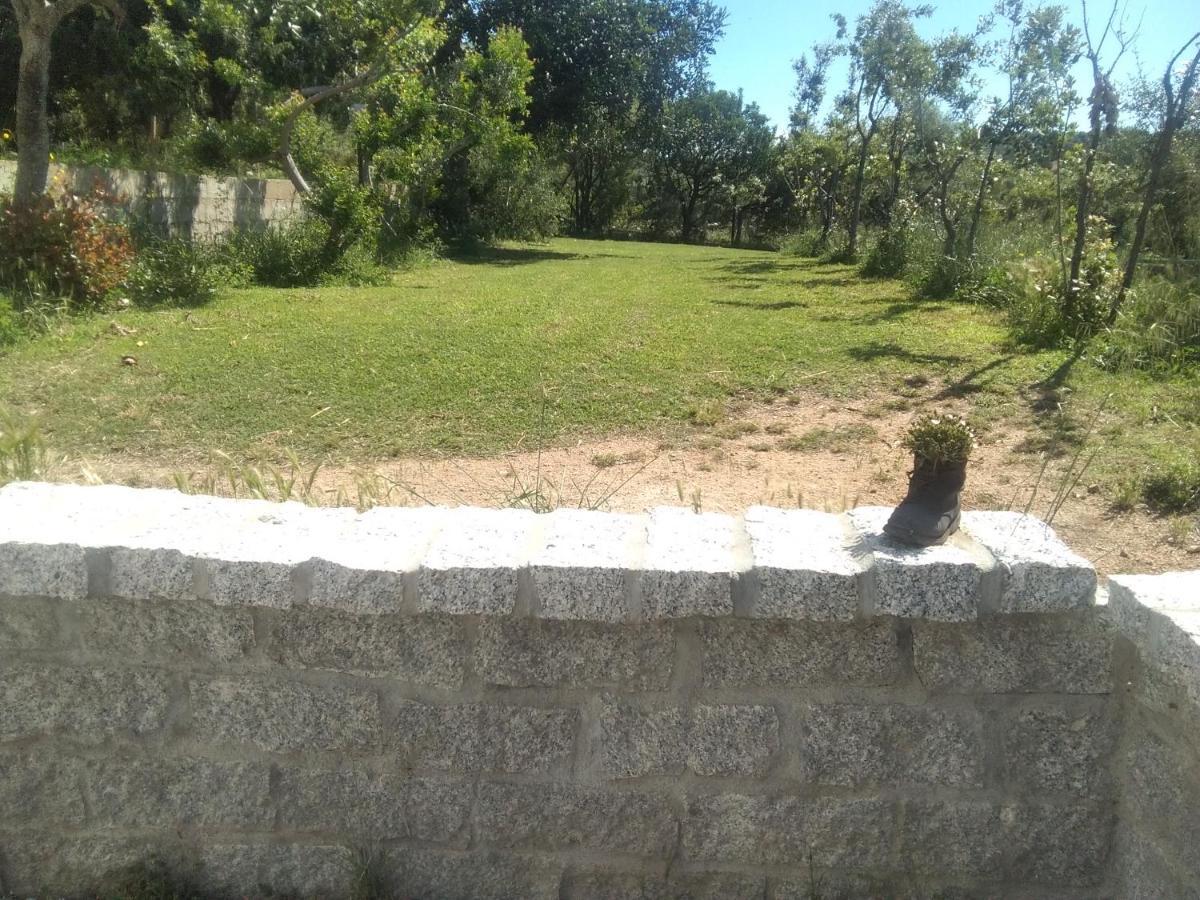 אולביה B&B Daillu מראה חיצוני תמונה
