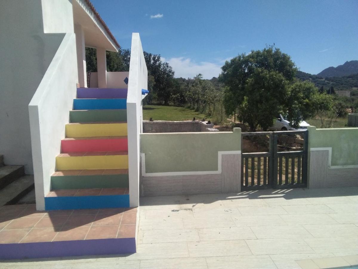 אולביה B&B Daillu מראה חיצוני תמונה