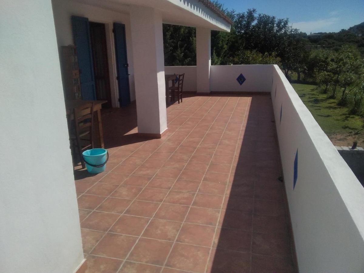 אולביה B&B Daillu מראה חיצוני תמונה